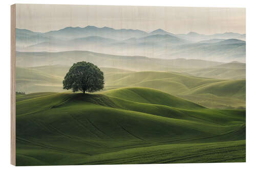 Tableau en bois Green Landscape