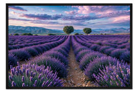 Gerahmter Kunstdruck Lavendelfeld