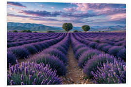 Hartschaumbild Lavendelfeld
