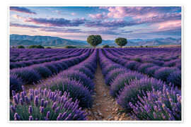 Wall print Lavender field - Mango Art