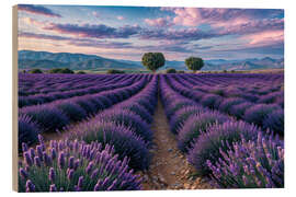 Hout print Lavender field - Mango Art