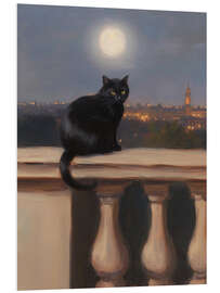 Foam board print Moonlight Cat