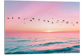 Quadro em plexi-alumínio Flying Formation - Pineapple Licensing