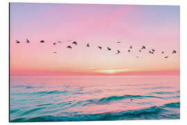 Magnettafel Flugformation