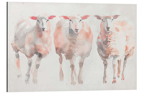 Aluminium print Three gentle watercolour sheep