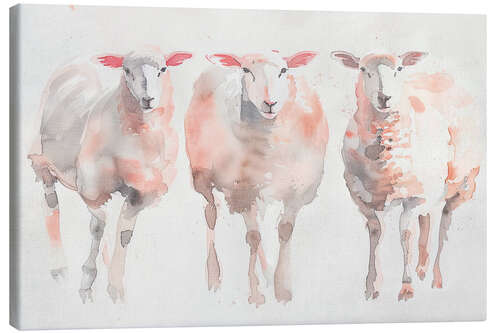 Obraz na płótnie Three gentle watercolour sheep