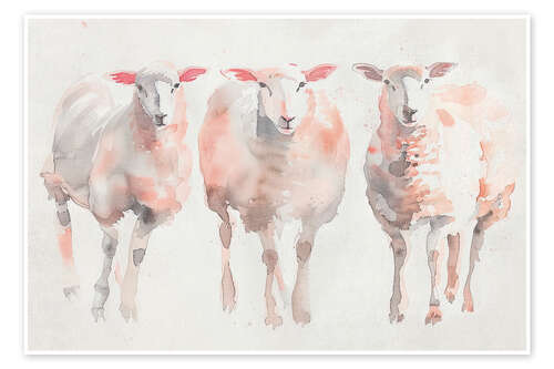 Plakat Three gentle watercolour sheep