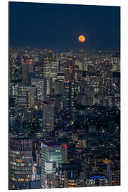 Alubild Vollmond über Tokio - Andreas Wonisch