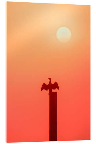 Acrylic print The Cormoran