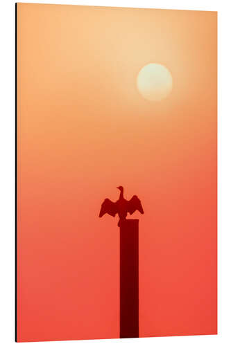 Aluminium print The Cormoran