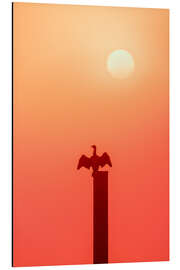 Aluminium print The Cormoran - Félix Frankl