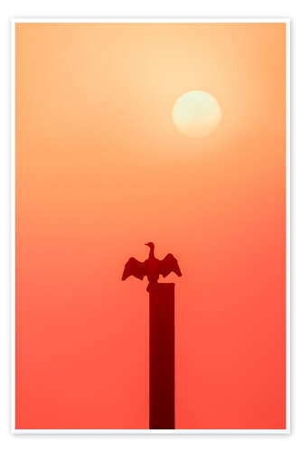 Poster The Cormoran