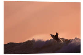 Acrylic print The Surfer - Félix Frankl