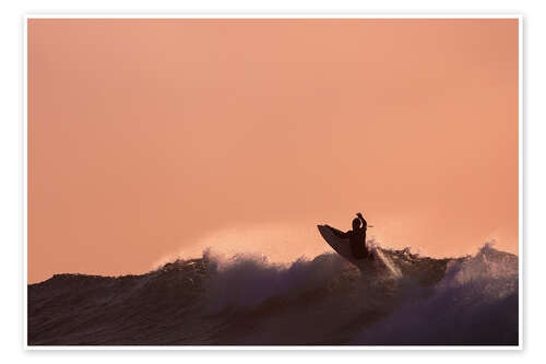 Poster The Surfer