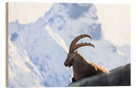 Trätavla Capricorn I