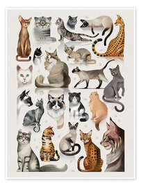 Wall print Cat breeds, domestic and wild - Dieter Braun