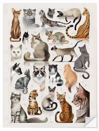 Sticker mural Cat breeds, domestic and wild - Dieter Braun
