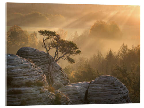 Acrylic print Sunrise in Saxon Switzerland