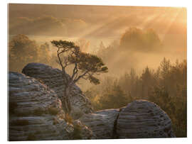 Acrylic print Sunrise in Saxon Switzerland - Nils Steiner