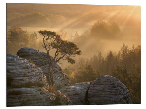 Cuadro de aluminio Sunrise in Saxon Switzerland