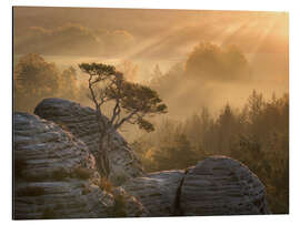 Cuadro de aluminio Sunrise in Saxon Switzerland - Nils Steiner