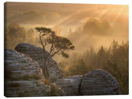 Canvas print Sunrise in Saxon Switzerland - Nils Steiner