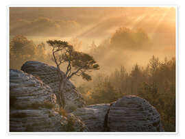 Wall print Sunrise in Saxon Switzerland - Nils Steiner