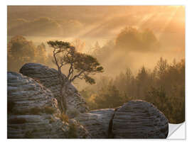 Wall sticker Sunrise in Saxon Switzerland - Nils Steiner