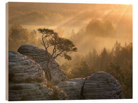 Holzbild Sonnenaufgang in der Sächsischen Schweiz