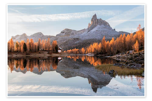 Póster Golden autumn in the Dolomites