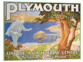Akrylbillede Playmouth