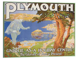 Cuadro de aluminio Playmouth