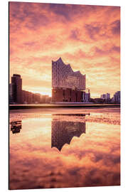 Aluminium print Elbhilharmonie Hamburg at sunrise - Nils Steiner
