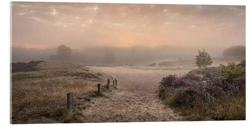 Akryylilasitaulu Sunrise in the summer mist