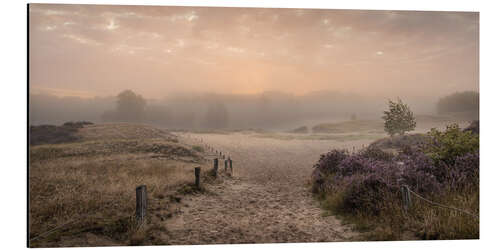 Print på aluminium Sunrise in the summer mist