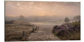 Aluminium print Sunrise in the summer mist - Nils Steiner