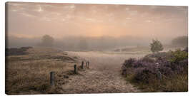Canvas print Sunrise in the summer mist - Nils Steiner