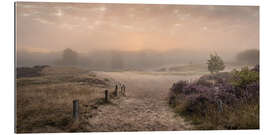 Gallery Print Sonnenaufgang im Sommernebel