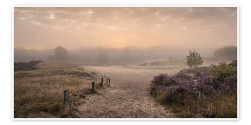 Póster Sunrise in the summer mist