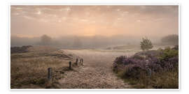 Wall print Sunrise in the summer mist - Nils Steiner