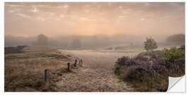 Selvklæbende plakat Sunrise in the summer mist