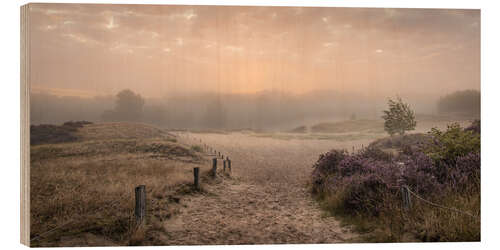 Cuadro de madera Sunrise in the summer mist