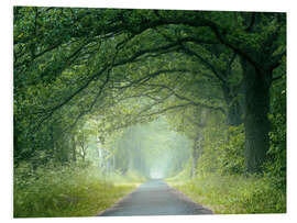 Hartschaumbild Morgenstimmung im Wald