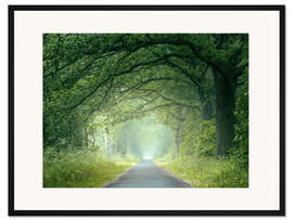 Gerahmter Kunstdruck Morgenstimmung im Wald