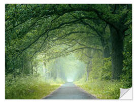 Wandsticker Morgenstimmung im Wald