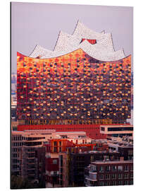 Aluminium print Elbhilharmonie Hamburg at sunrise - Nils Steiner