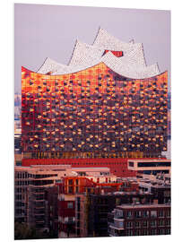 Foam board print Elbhilharmonie Hamburg at sunrise