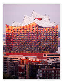Wall print Elbhilharmonie Hamburg at sunrise - Nils Steiner