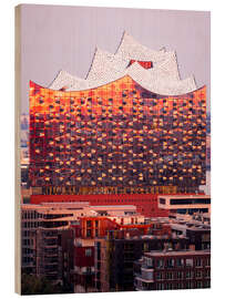 Cuadro de madera Elbhilharmonie Hamburg at sunrise - Nils Steiner