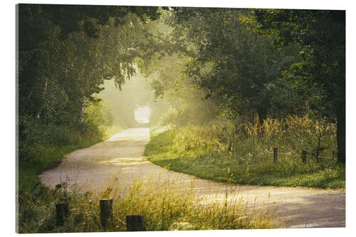 Quadro em acrílico Morning mist in the forest